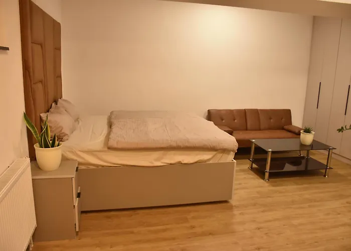 4 Appartement Dresden